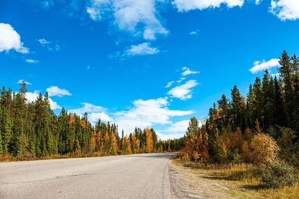 Orange Yellow Red Tree Foliage Famous Highway Rocky Mountains Connects — Stock Photo, Image