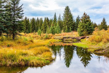 Yumuşak göl yüzeyi bulutlu gökyüzünü ve ince köknar ağaçlarını yansıtır. Sığ göl her daim yeşil bir ormanla çevrilidir. Kanada 'nın batısına sonbahar gezisi. 