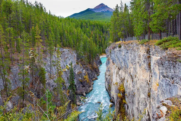 Wspaniałe Wodospady Kanady Prowincja Alberta Jasper Park Rough Water Sunwapta — Zdjęcie stockowe