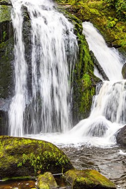 Yükselen şelale Triberg - Almanya 'nın en güzel şelalesi. Yeşil yosunlarla kaplanmış dev kayalar. Resimli Kara Orman. Su Dünyası 'na Seyahat.