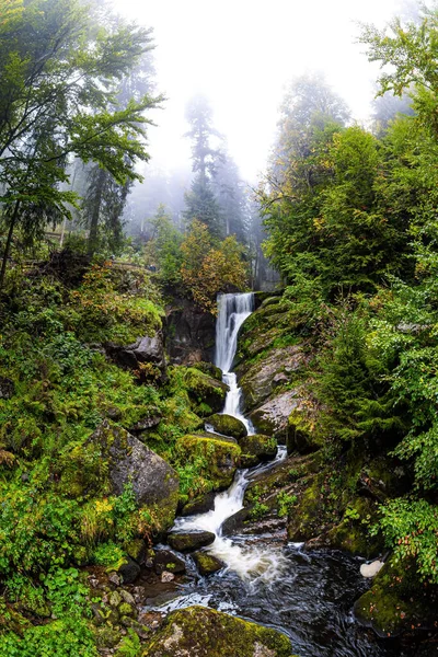 德国多雾的秋天 宏伟的高瀑布瀑布三堡 水的世界之旅 绿苔丛生的巨石 — 图库照片