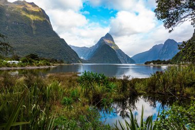 Yeni Zelanda. Güney Adası. En ünlü ve resimli fiyort Milford Sound 'dur. İtfaiye parkı. Keskin kayalık tepeler ve dar uzun dolambaçlı su koyları. 