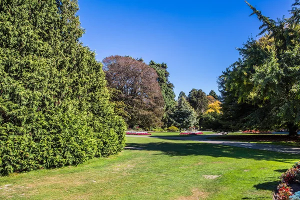 Christchurch Sahnesi Botanik Bahçesi. Yeni Zelanda 'ya git. Muhteşem ve geniş bir bitki koleksiyonu. Sonbaharın başlarında güneşli sıcak bir gün. Ekolojik ve fotoğraf turizmi kavramı