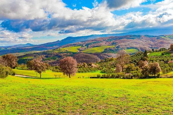 Les Collines Verdoyantes Pittoresques Province Toscane Italie Hiver Chaud Ensoleillé — Photo