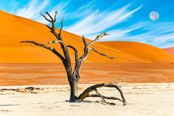 Namib Naukluft Park Hatalmas Hold Alacsonyan Látható Horizont Felett Namíbia — Stock Fotó