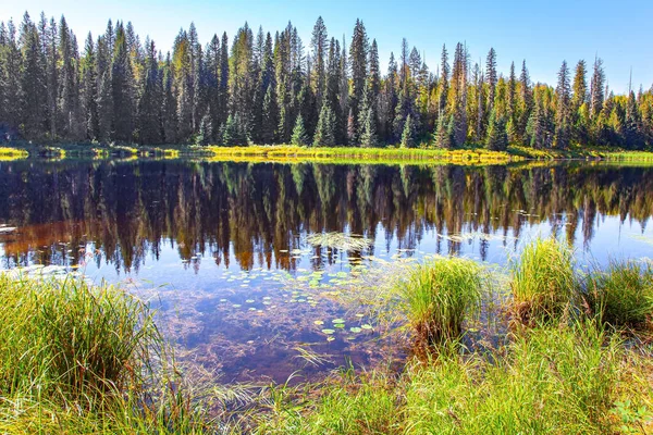 ウェルズ グレイは ロッキー山脈にあるブリティッシュコロンビア州の公園である 湖の滑らかな表面は森と青空を反映しています カナダ — ストック写真