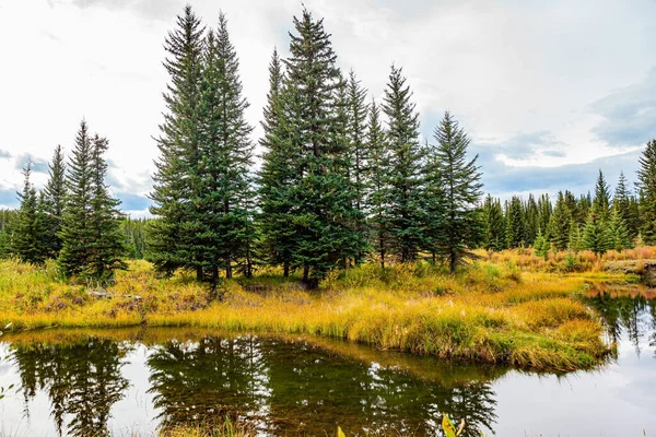 カナダの西への秋の旅行 滑らかな湖の表面は曇り空と細いモミの木を反映しています 森の端を吹き飛ばせ 浅い湖は常緑の森に囲まれています — ストック写真