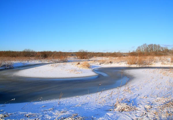 Snow bushes on coast river — Stock Photo, Image