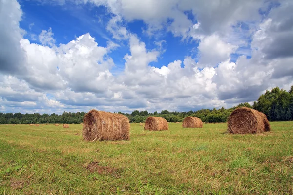 Стога сена на летнем поле — стоковое фото