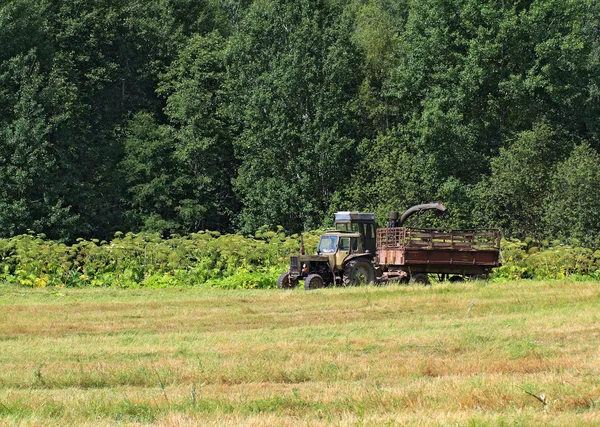 Old tractor on summer field — Stock Photo, Image