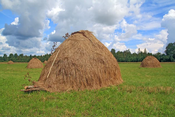 Stack hö på sommaren sätter — Stockfoto