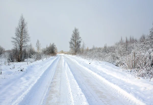 Strada rurale in giorno noioso — Foto Stock