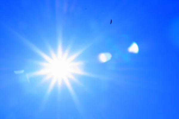 Чорні птахи в блакитному небі — стокове фото