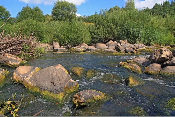 Snabb flod flöde bland sten — Stockfoto