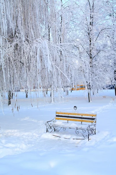 Деревянная скамейка в городском парке — стоковое фото