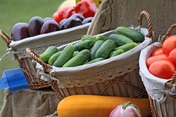 Cucumber in basket on rural market — Stock Photo, Image