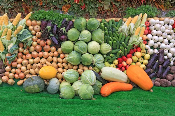 Dar frutos no mercado rural — Fotografia de Stock