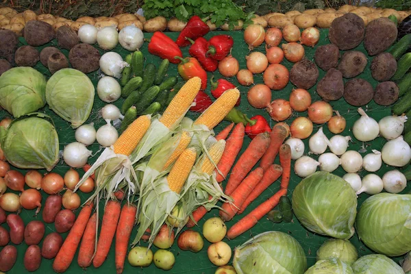 Vegetable set on rural market — Stock Photo, Image