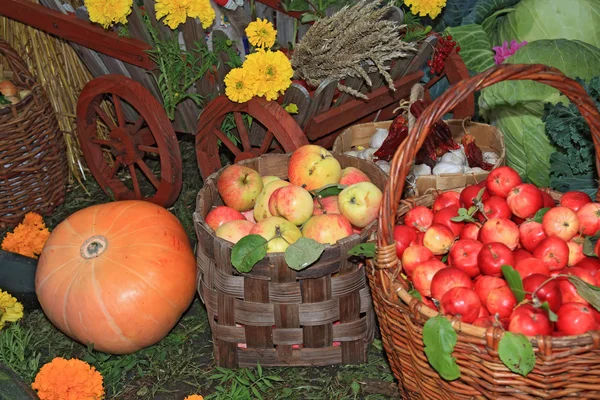 Conjunto de produtos hortícolas no mercado rural — Fotografia de Stock
