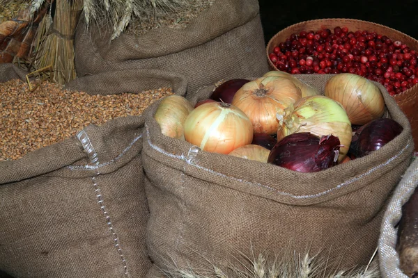 Onion in bag on rural market — Stock Photo, Image