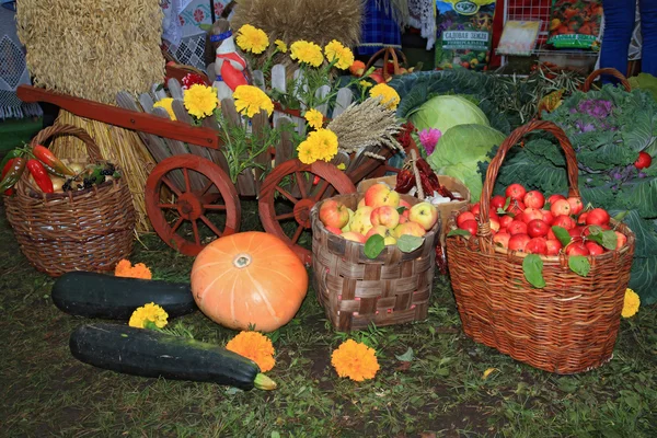 Conjunto de produtos hortícolas no mercado rural — Fotografia de Stock