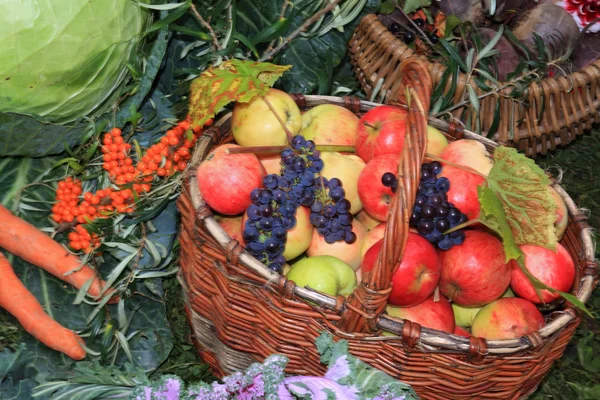 Apple in basket on rural market — Stock Photo, Image