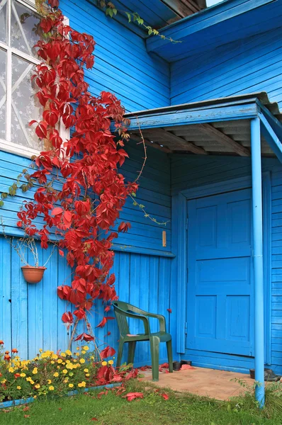 Röda blad på väggen i landsbygdens byggnaden — Stockfoto