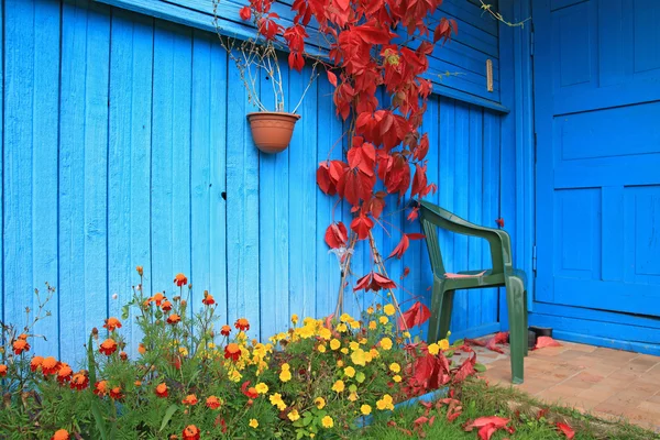 Röda blad på väggen i landsbygdens byggnaden — Stockfoto