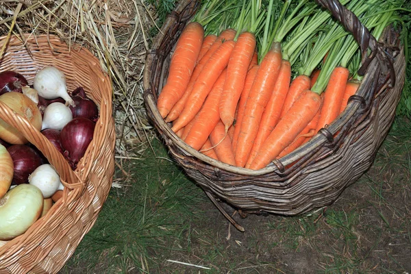Морква в кошику на сільському ринку — стокове фото