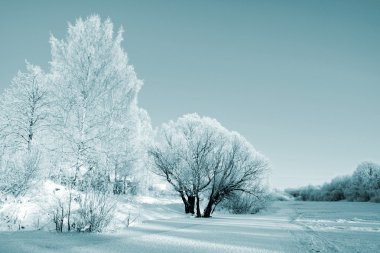 çalılıkların içinde kar sahil Nehri üzerinde
