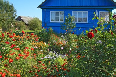 kırsal bina yakınındaki yaz flowerses