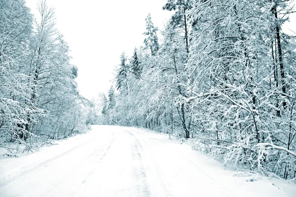 Paisagem inverno — Fotografia de Stock