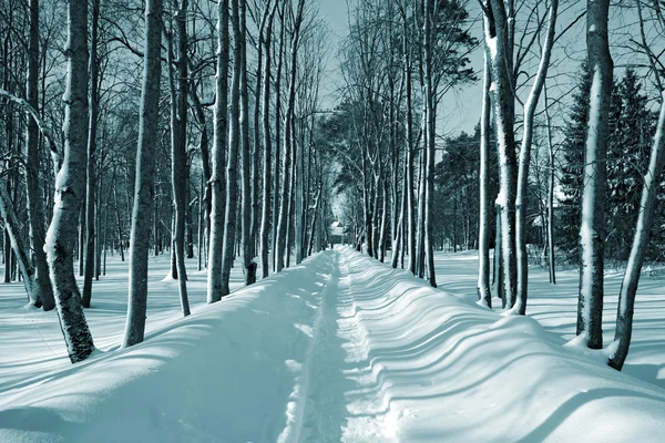 Carril de nieve en el parque de invierno —  Fotos de Stock