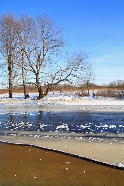 Hielo de otoño en el pequeño río — Foto de Stock