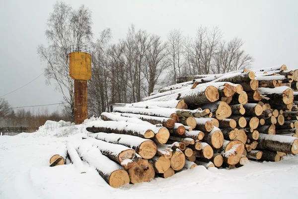 Brennholz auf weißem Schnee anhäufen — Stockfoto