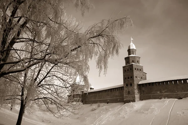 Starobylé pevnosti — Stock fotografie