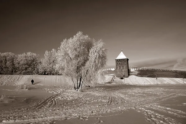 Baum im Schnee auf himmlischem Hintergrund — Stockfoto