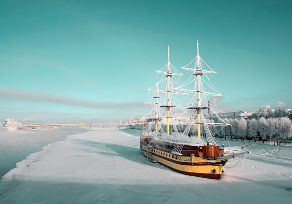 стареющая крепость среди снежного дерева

