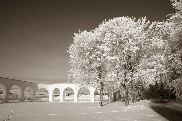 Zimní park — Stock fotografie