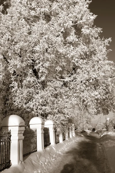 Carril en el parque de invierno de la ciudad, sepia —  Fotos de Stock