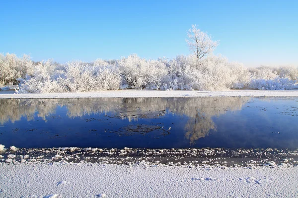 Legno bianco sulla costa del fiume — Foto Stock