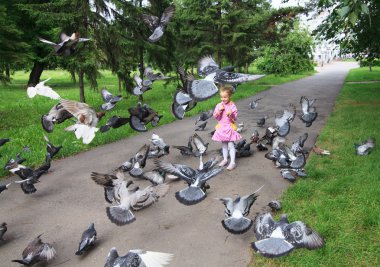 küçük kız güvercin besleme.