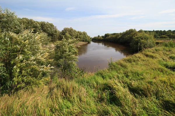 Tara River nära byn Okunevo. — Stockfoto