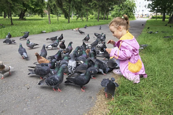 küçük kız güvercin besleme.