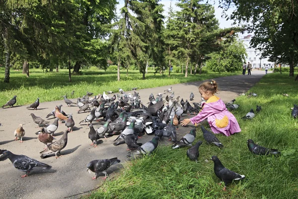 Маленькая девочка кормит голубей . — стоковое фото