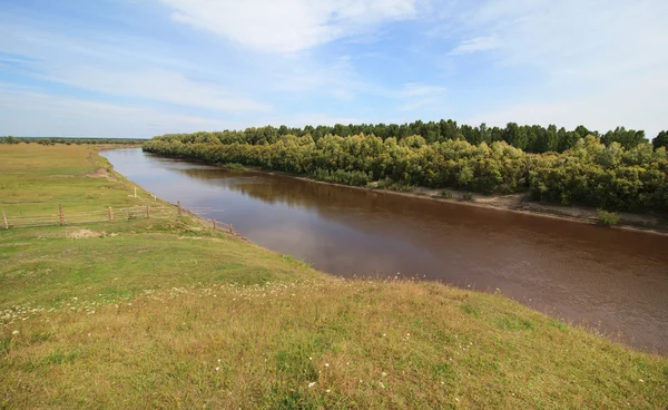 Rzeka Tara w pobliżu miejscowości Okunevo. — Zdjęcie stockowe