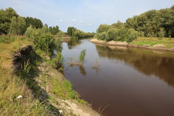 Tara River v blízkosti vesnice Oknenevo. — Stock fotografie