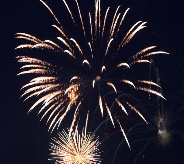 Beautiful fireworks in the night sky. — Stock Photo, Image