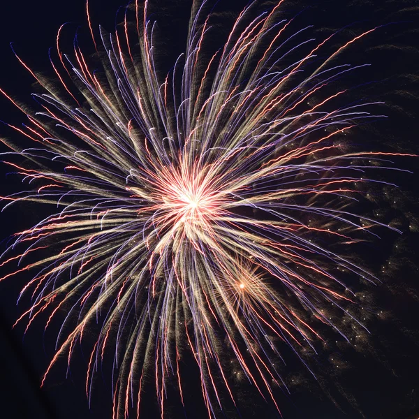 Wunderschönes Feuerwerk am Nachthimmel. — Stockfoto