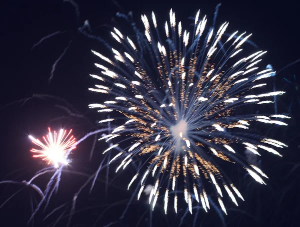 Beautiful fireworks in the night sky. — Stock Photo, Image